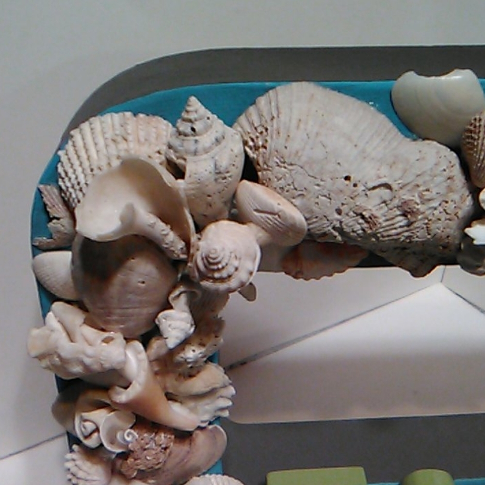 Shell Shelf Sitter - Picture 3 of 14